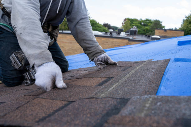 Best Flat Roof Repair Services  in Oglala, SD