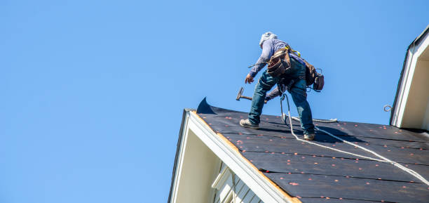 Best Roof Waterproofing Services  in Oglala, SD